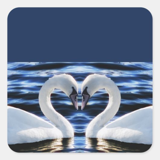 Twee zwanen vierkante sticker (Voorkant)