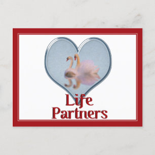 Twee Zwanen Zwemmen w / tekst "Life Partners" Briefkaart