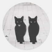 Twee zwarte katten Sticker set (Voorkant)