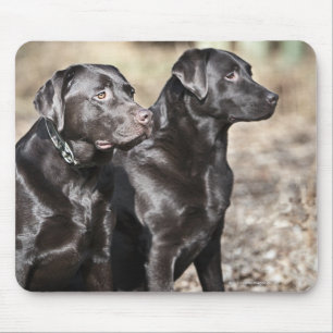 Twee zwarte labradors muismat