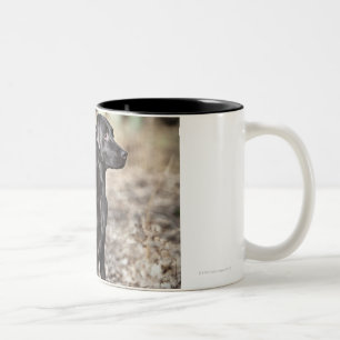 Twee zwarte labradors tweekleurige koffiemok