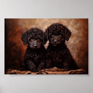 Twee zwarte poedel puppies poster