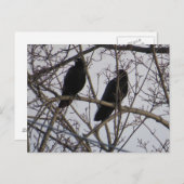 Twee zwarte roeivogels in een boom briefkaart (Voorkant / Achterkant)