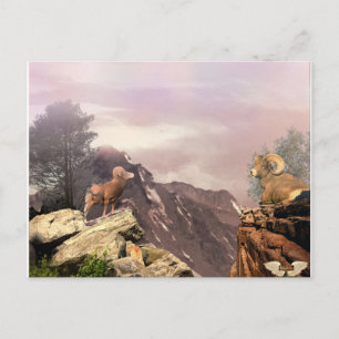 Twee zwervers in het Briefkaart van het hoge land