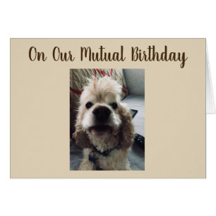 TWEEDE DAG WIL JE OP ONZE WEDERZIJDSE BIRTHDAY