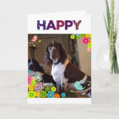 TWEEDE DAG WIST MET EEN **OVERGEVING VOOR ZEKERHEI KAART (Voorkant)