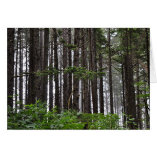 Tweede strand bij La Push, WA