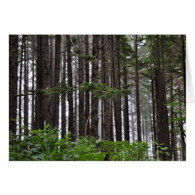 Tweede strand bij La Push, WA (Voorkant Horizontaal)