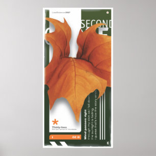 TWEEDE ZEE (Poster) Poster