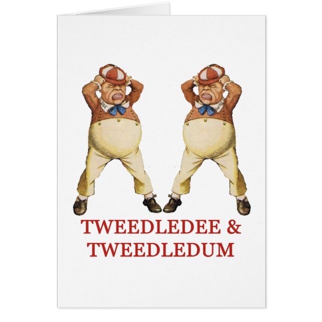 TWEEDLEDEE EN TWEEDLEDUM IN WONDERLAND (Voorkant)