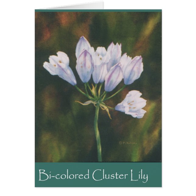 Tweekleurig Cluster Lily (Voorkant)