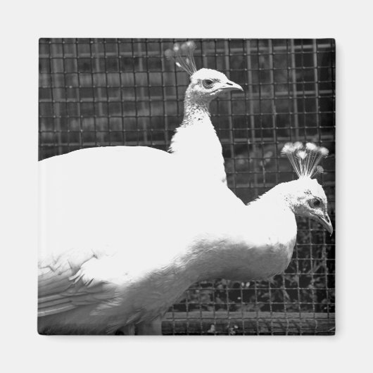 tweeling 8x8 magneet (Voorkant)