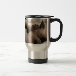 Tweeling Aait Huiskat Mooie Siamese Kitten Reisbeker