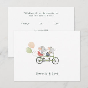 Tweeling Baby Geboortekaartje Schattige Muisjes Briefkaart