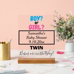 Tweeling Baby Shower Roze Blauwe Moeder NAME Acryl Bord
