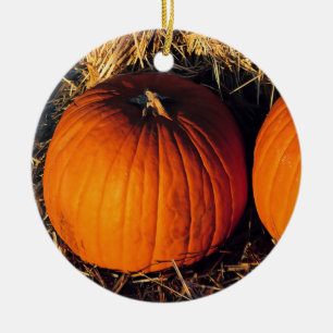 Tweeling Vintage Pompoenen Keramisch Ornament