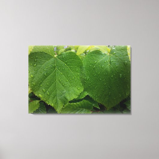 tweelingblad canvas afdruk (Voorkant)