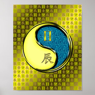 Tweelingen en waterdraak poster