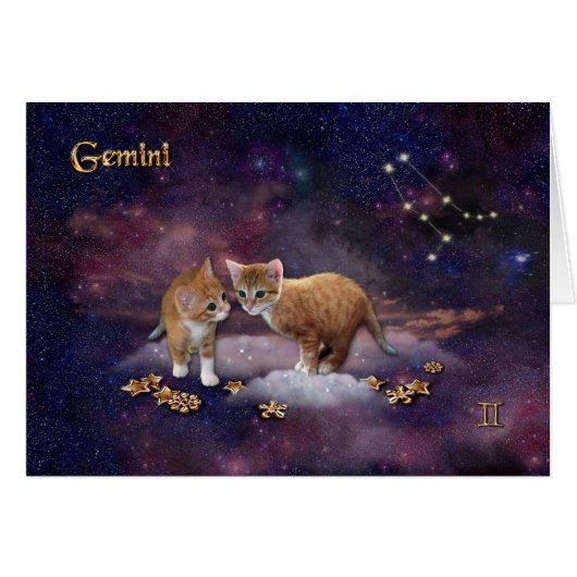 Tweelingen voor kattenliefhebbers (Voorkant Horizontaal)