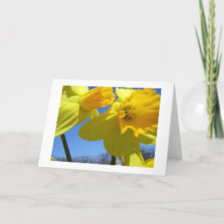 tweelingnarcis feestdagen kaart