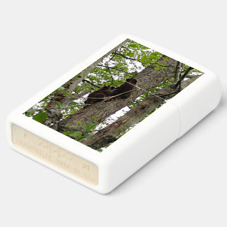 tweelingraccoons die een boom oprennen