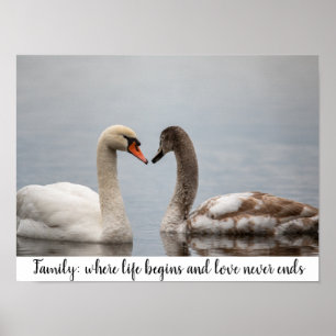 Tweeluik Zwanen Natuur Foto Wanddecor Poster