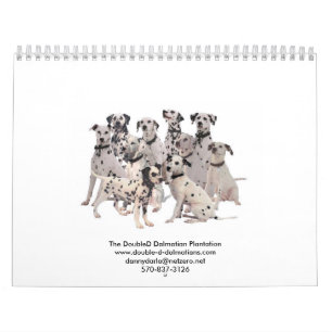 Tweemaal D- Dalmatiërs 2010 Kalender