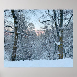 Tweemaal piek sneeuw op bomen poster