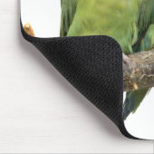 Tweet Trio Tapis de souris (Coin)