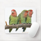 Tweet Trio Tapis de souris (Avec souris)