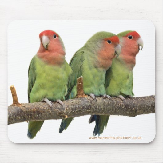 Tweet Trio Tapis de souris (Devant)