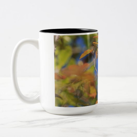 Tweetonige mok met afbeelding van indigo bunting (Links)