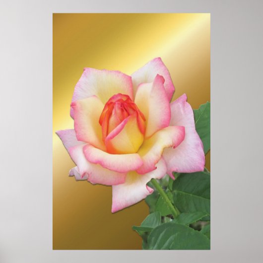 Tweetoonroze Rose boven Gold Poster (Voorkant)