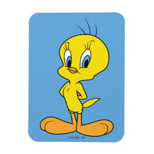 TWEETY™   Clever Bird Magneet
