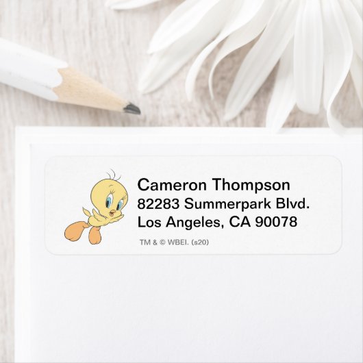 Tweety In The Clouds Pose 15 Etiket (Insitu)