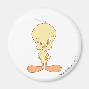 Tweety Magneet
