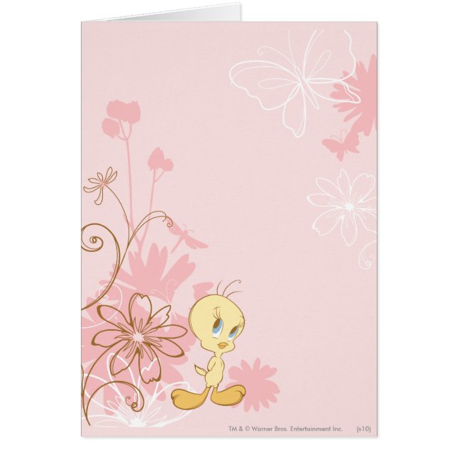 Tweety Roze (Voorkant)