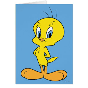 TWEETY™   Sluwe Vogel
