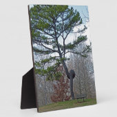 Tweevoudige structuur fotoplaat (Zijkant)