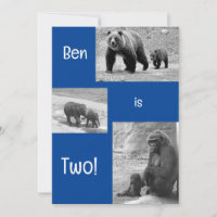 Tweevoudige uitnodiging voor Zoo Birthday Party