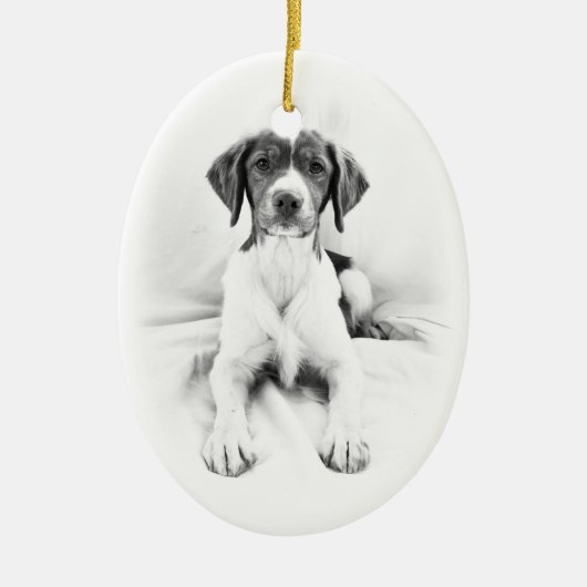 Tweezijdige Bretagne Ornament (Voorkant)