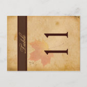 Tweezijdige herfstbladeren op verouderd papieren t briefkaart (Voorkant)