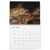 Twelve Months of Toads: 2022 Calendar Kalender (Mar 2026)