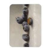 Twelve Plums Magneet (Verticaal)