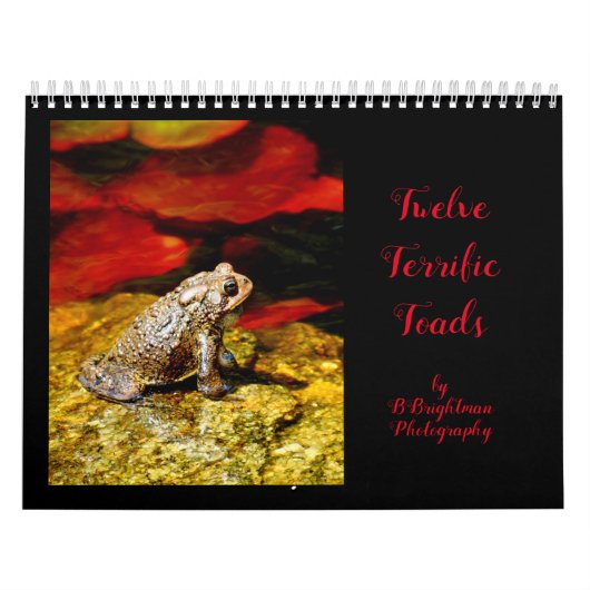 Twelve Terrific Toads Kalender (Hoes)