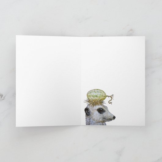 /Twi la carte meerkat (Intérieur)