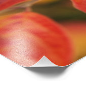 Twig bedekt met herfstbladeren foto afdruk (Hoek)