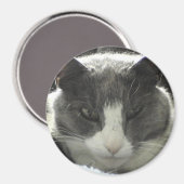 Twiggy Cat Magneet (Voorkant / Achterkant)