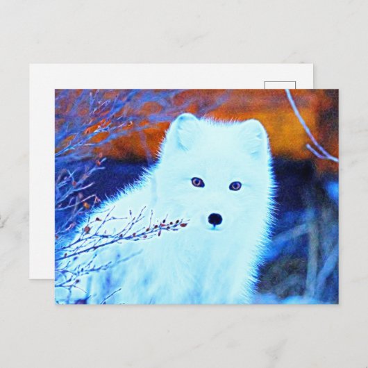 *~* Twigs AP18 Sneeuwfox White Arctic Polar Fox Briefkaart (Voorkant / Achterkant)
