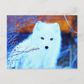 *~* Twigs AP18 Sneeuwfox White Arctic Polar Fox Briefkaart (Voorkant)